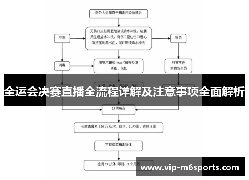 全运会决赛直播全流程详解及注意事项全面解析