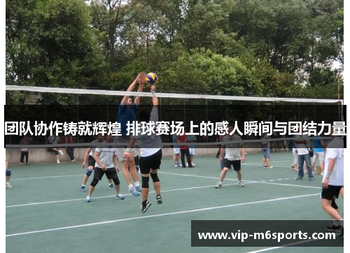 团队协作铸就辉煌 排球赛场上的感人瞬间与团结力量
