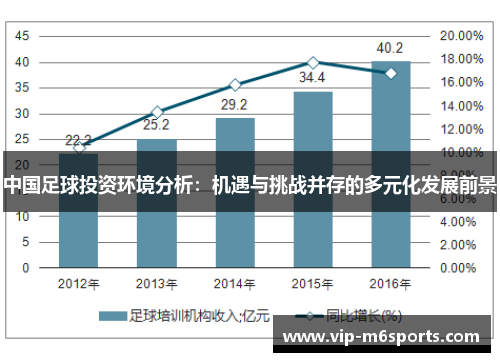 中国足球投资环境分析：机遇与挑战并存的多元化发展前景