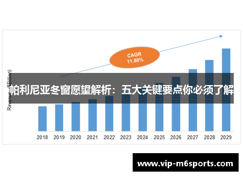 帕利尼亚冬窗愿望解析：五大关键要点你必须了解