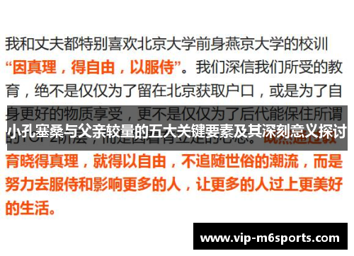 小孔塞桑与父亲较量的五大关键要素及其深刻意义探讨