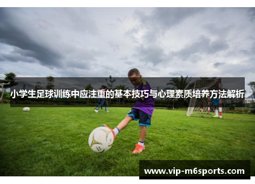 小学生足球训练中应注重的基本技巧与心理素质培养方法解析