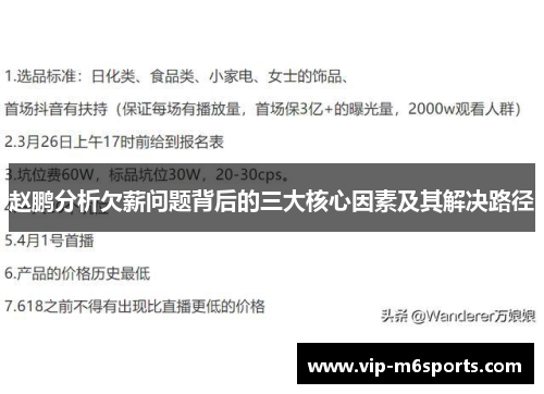 赵鹏分析欠薪问题背后的三大核心因素及其解决路径
