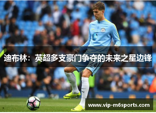 迪布林：英超多支豪门争夺的未来之星边锋