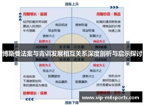 博斯曼法案与青训发展相互关系深度剖析与启示探讨