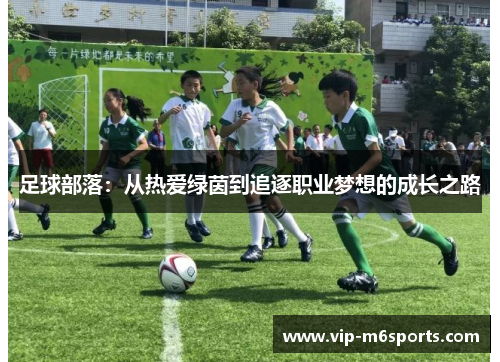 足球部落：从热爱绿茵到追逐职业梦想的成长之路