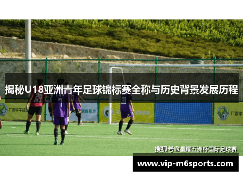 揭秘U18亚洲青年足球锦标赛全称与历史背景发展历程