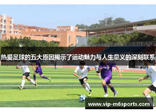 热爱足球的五大原因揭示了运动魅力与人生意义的深刻联系